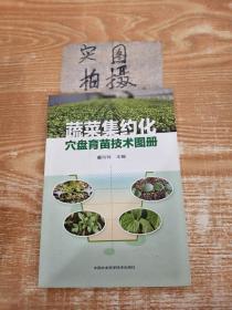 蔬菜集约化穴盘育苗技术图册
