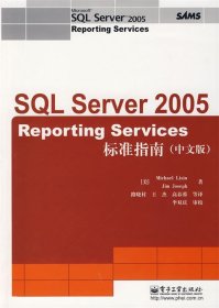SQL Server 2005 Reporting Services 标准指南