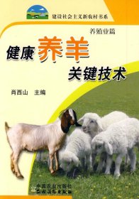健康养羊关键技术