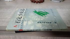 石定小说选