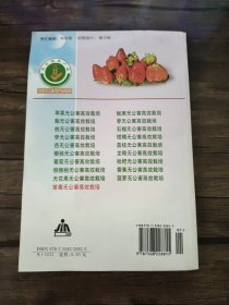 草莓无公害高效栽培