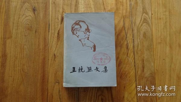 王统照 文 集 第一卷