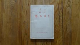 怎么办 列宁