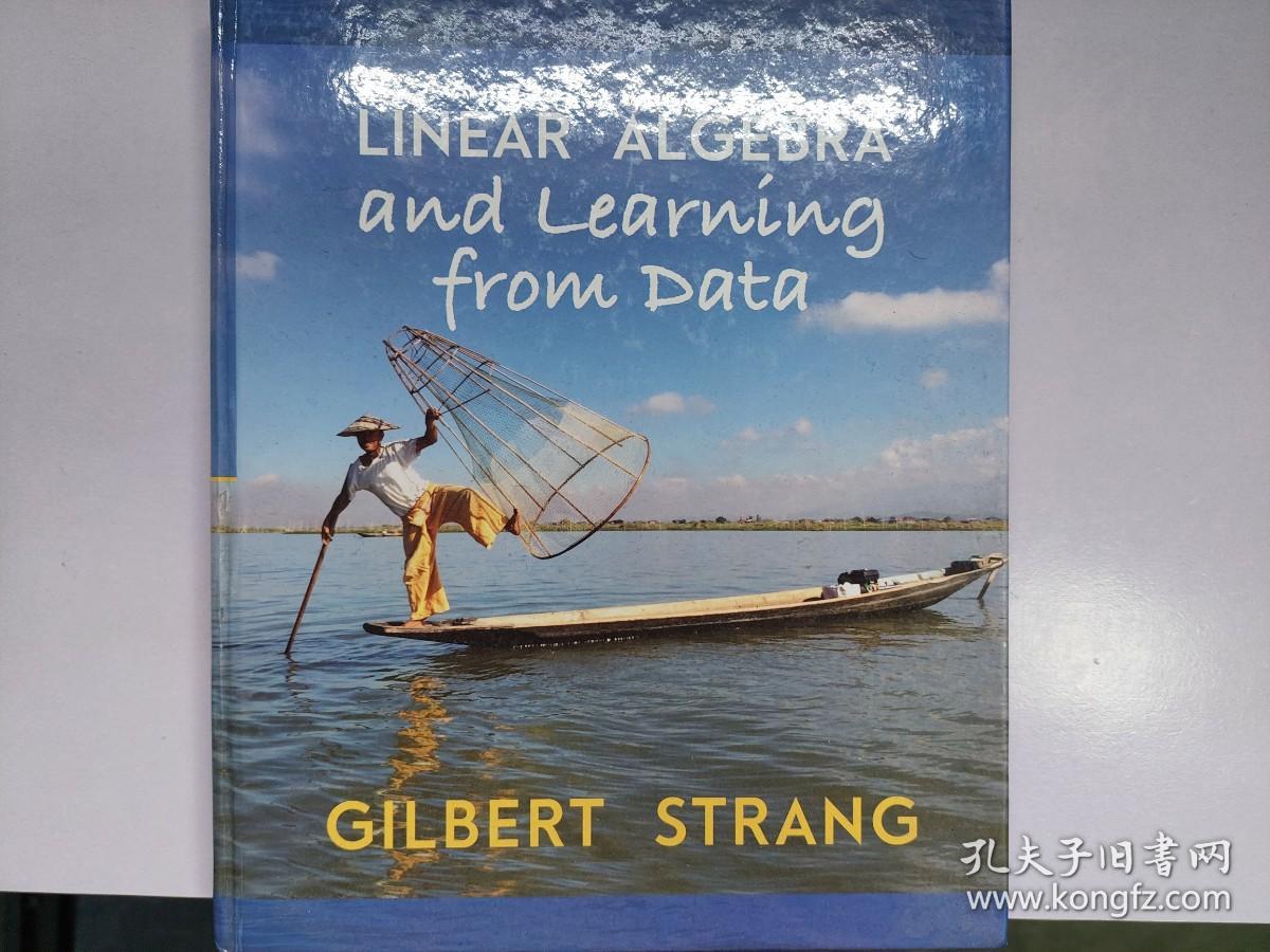 Linear algebra and learning from data 
