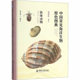 中国常见海洋生物原色图典 软体动物 魏建功,曲学存 编 少儿科普