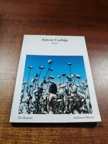 《Anton Corbijn Allegro》