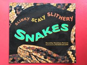 SLINKY SCALY SLITHERY SNAKES 纤细有鳞的蛇