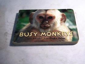 BusyMonkeys(BusyBook)英文儿童读物 纸板书