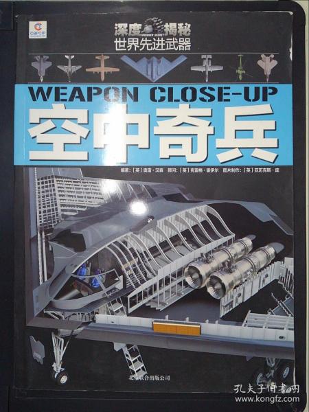 深度揭秘·世界先进武器——空中骑兵