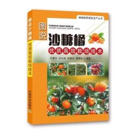 【中国农业出版社官方正版】图说沙糖橘优质高效栽培技术