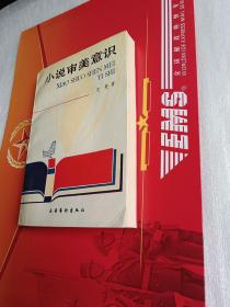 小说审美意识
