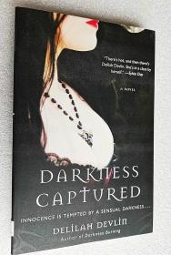 Darkness Captured: A Novel （原版外文书）