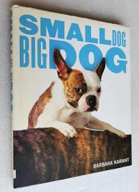 Small Dog, Big Dog （精装大16本原版外文书）