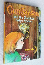 Cam Jansen: The Chocolate Fudge Mystery #14（精装原版外文书）