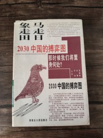 马走日.象走田-2030中国的搏弈图