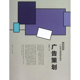 广告策划---中国高等院校广告专业通用精品教材