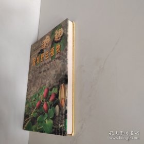 深圳野生植物:[图集]