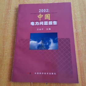 2002：中国电力问题报告