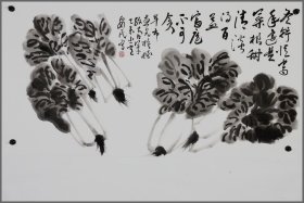 孙安民，花卉画