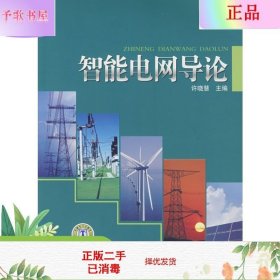 二手正版智能电网导论 许晓慧   中国电力出版社