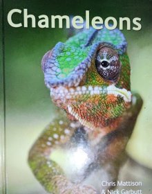 英文原版 变色龙图鉴 Chameleons 书脊有道划痕