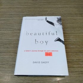 Beautiful Boy：A Father's Journey Through His Son's Addiction