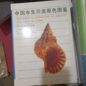 中国水生贝类原色图鉴【库存未阅】