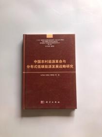 中国农村能源革命与分布式低碳能源发展战略研究