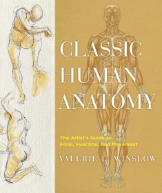 Classic Human Anatomy: The Artist's Guide to Form  Function  and Movement