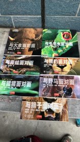 大石精品图书：与狮子面对面、与大象面对面、 与青蛙面对面、 与猩猩面对面、 与毛毛虫面对面、与 猎豹面对面、 与野马面对面（7本合售）