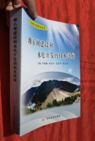 中国大坝协会丛书：堆石坝建设和水电开发的技术进展【16开】