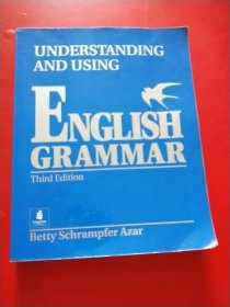 Understanding And Using English Grammar （third Edition）