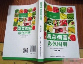 蔬菜病害彩色图册王就光 编著湖北科学技术出版社9787535257000