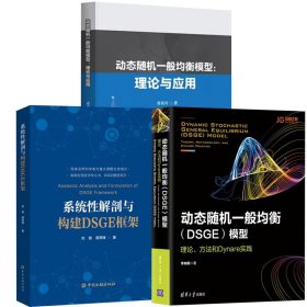 【全3册】系统性解剖与构建DSGE框架+动态随机一般均衡模型:理论与应用+动态随机一般均衡（DSGE）模型：理论、方法和Dynare实践
