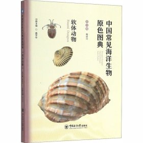 中国常见海洋生物原色图典软体动物 曲学存 少儿科普知识读本 海洋软体动物特色 海洋生物介绍的工具书籍