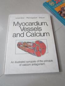 英文原版：Myocardium,Vessels and Calcium