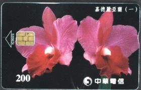 磁卡通话卡、电话卡、中华电信植物花卉·嘉德丽亚兰（一）品相好