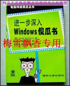 进一步深入Windows 傻瓜书