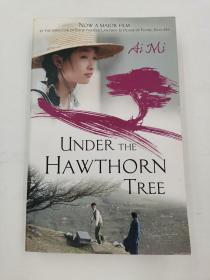 Under The Hawthorn Tree 山楂樹之戀