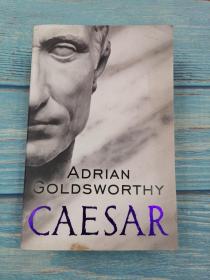 Caesar：The Life of a Colossus