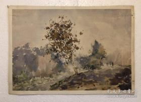 王济远（1893年-1975年）  手绘水彩画  1961年