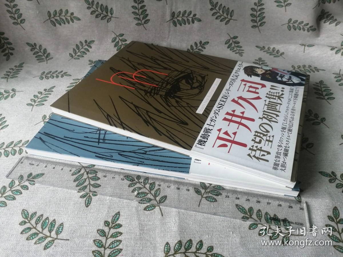 並行輸入品] 平井久司 画集 econet.bi