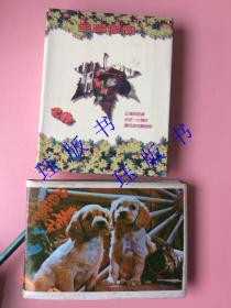 两本，相册，影集，八九十年代，非常著名的导演、演员，电影剧照，约40张，（中国电影百年百位优秀演员之一）名人孙道临、张晓敏等。其中有1986年电影《非常大总统》的照片，著名导演孙道临主导并主演，张晓敏饰宋庆龄，李定保主演。