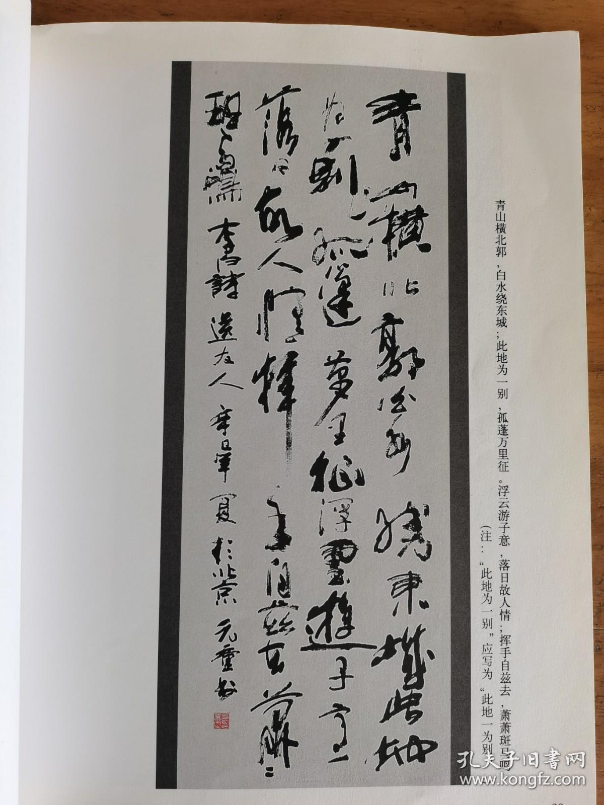 元童书法琴心剑胆带简介及书法集元童著名诗人画家书法家中国民族画院