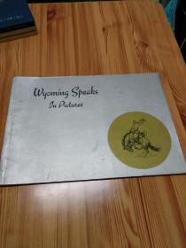WYOMING SPEAKS IN PICTURES  （大图片）