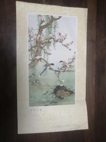 彩色画页一幅 ；  杏柳山鹊 、田世光 作、34 x18 cm。1962.5.初版一印
