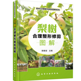 梨树种植修剪技术 玉露香梨栽培技术 6视频4书籍 梨优质丰产栽培实用技术
