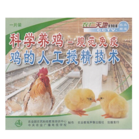 鸡的人工授精技术视频（种公鸡采精母鸡输精方法） 书肉鸡标准化规模养殖图册