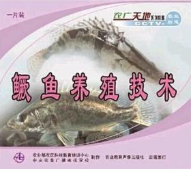 鲑鱼养殖技术视频U盘 书鳜鱼高效养殖与疾病技术