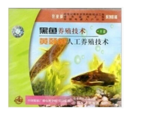 乌鳢养殖技术视频U盘4书籍（黑鱼如何养殖）乌鱼\杂交黑鱼养殖技术